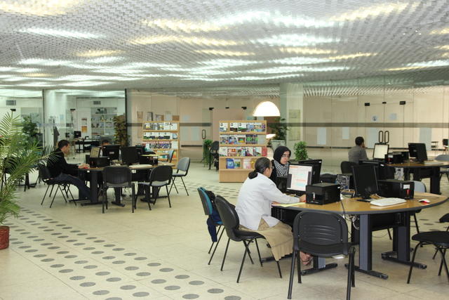 image-4228.JPG