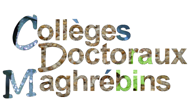 image-4235.png