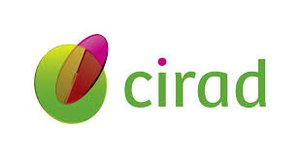 cirad.jpeg.300x300_q85_upscale