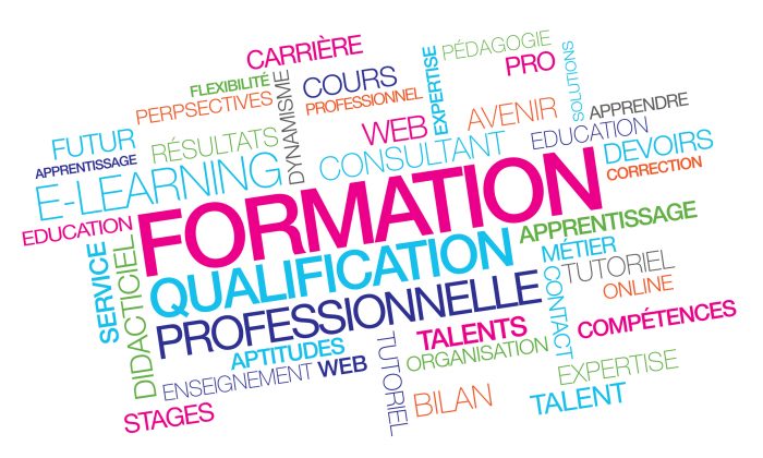 Formation professionnelle qualification emploi pro e-learning à distance compétences nuages de mots couleurs texte multicolore