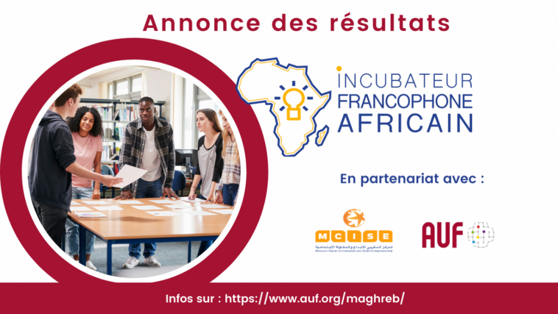 Incubateur Francophone Africain 2021 : 30 projets retenus