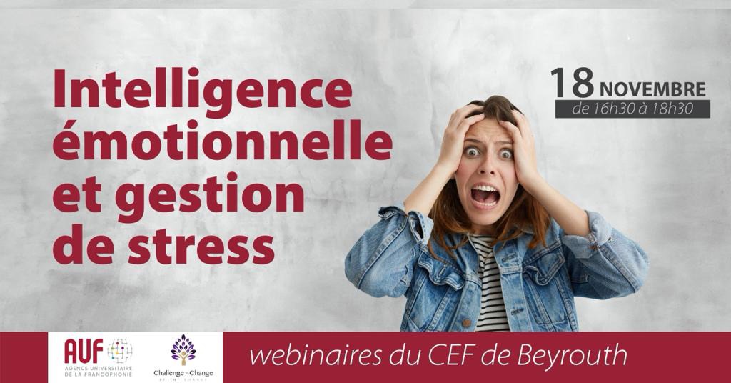 visuel webinaire 18 novembre