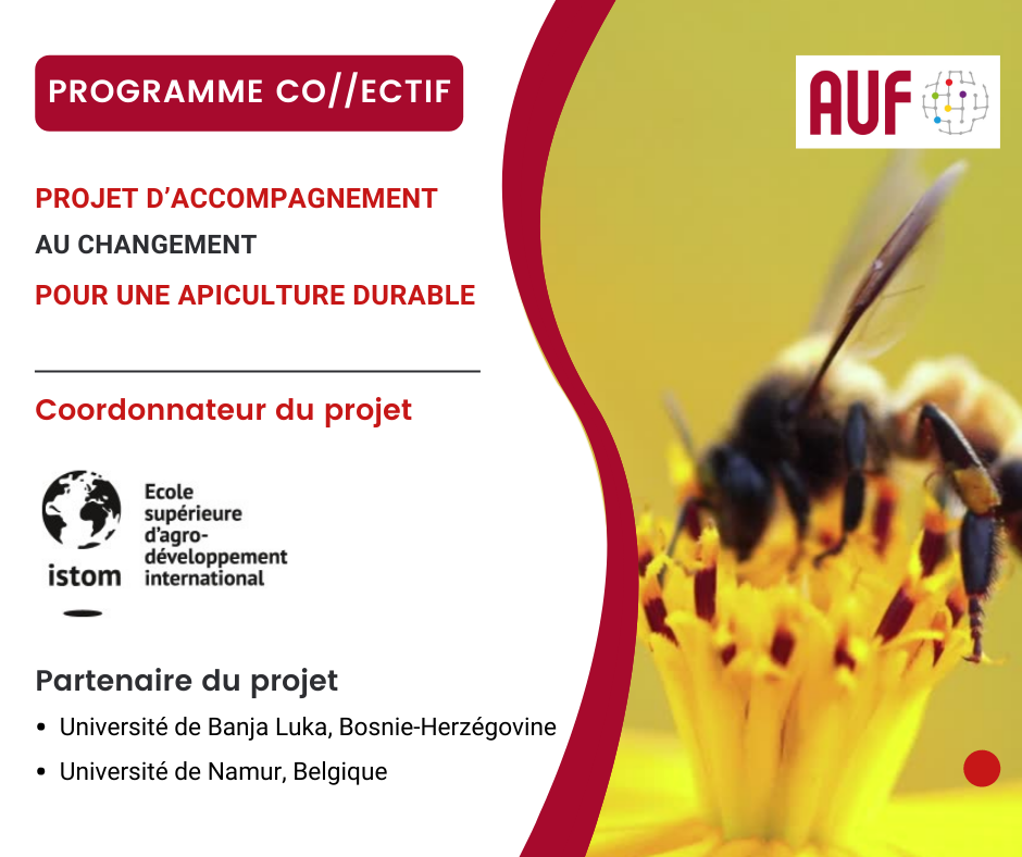 Collectif PACAD