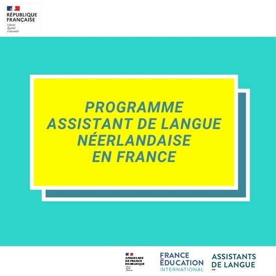 visuel_prog_assistant_2021_550_550