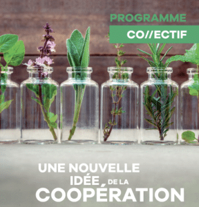CO//ectif 2022-2023 : 10 projets de coopération innovante sélectionnés