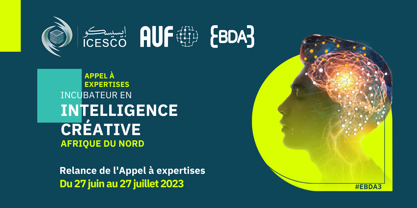 Incubateur en intelligence créative afrique du nord - Projection.pdf-3