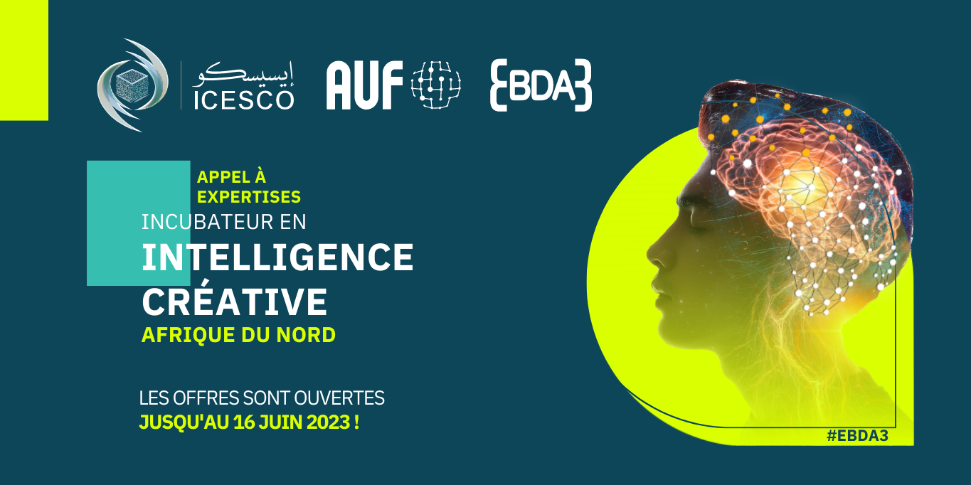 Incubateur en intelligence créative afrique du nord - Projection.pdf-4