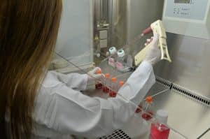 3 projets de recherche et de coopération scientifique retenus pour financement par l’AUF Moyen-Orient