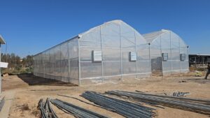 L’AUF, sous financement français, installe deux serres intelligentes en Irak pour renforcer la recherche et l’innovation en agronomie