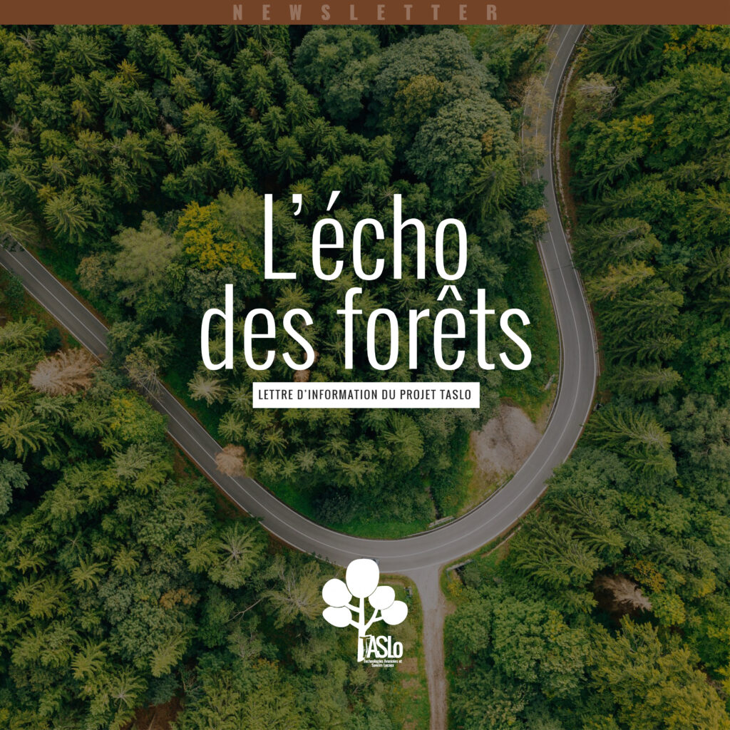 L'Écho des Forêts
