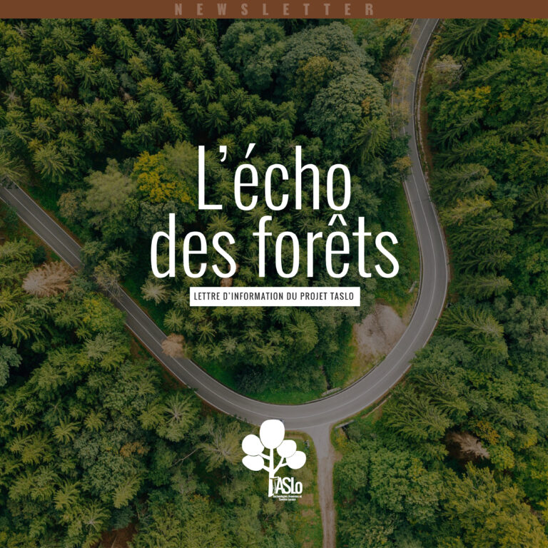 L'Écho des Forêts