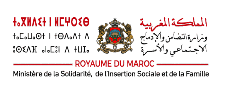 msisf logo